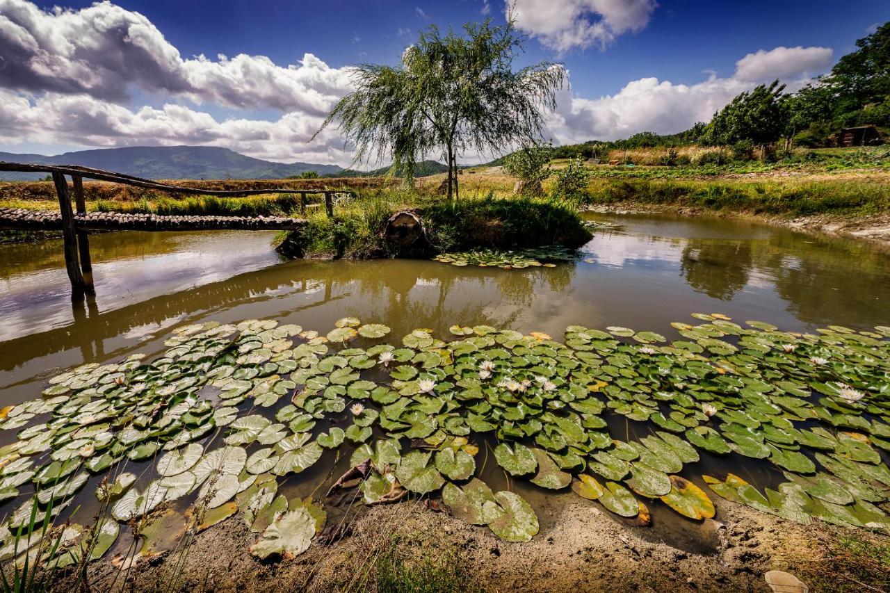 Agriturismo Biologico Autosufficienza Баньйо-ді-Романья Екстер'єр фото