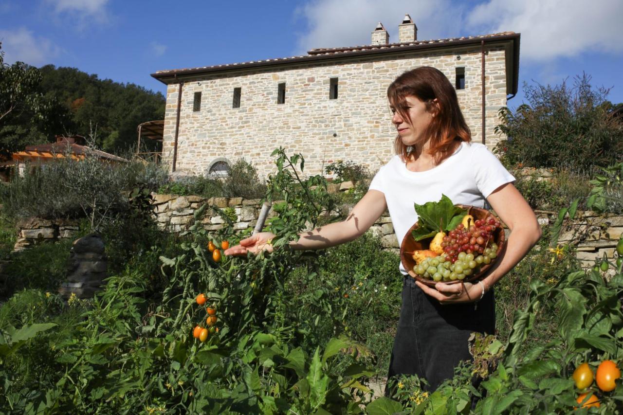 Agriturismo Biologico Autosufficienza Баньйо-ді-Романья Екстер'єр фото