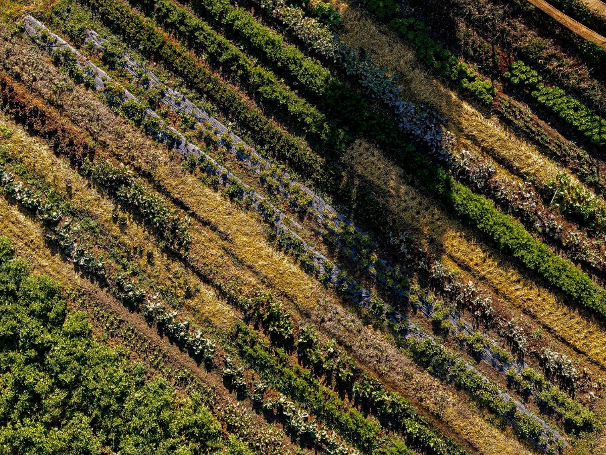 Agriturismo Biologico Autosufficienza Баньйо-ді-Романья Екстер'єр фото